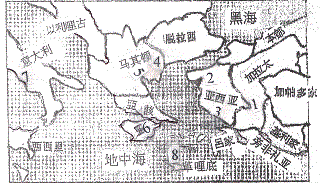 SCpaulinebookscitiespic